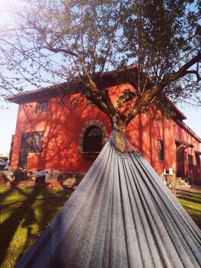 Alloggio Turistico Dakota Manziana Exteriör bild